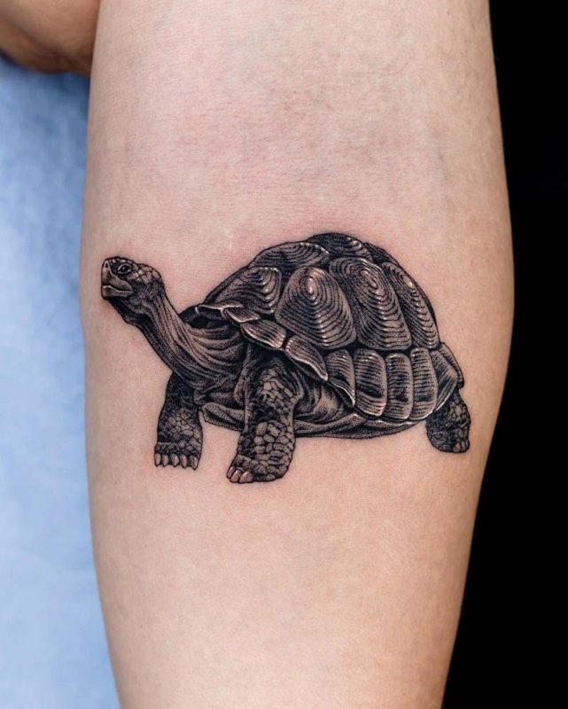 Black and Gray Tattoos: Elegant Designs That Never Go Out of Style