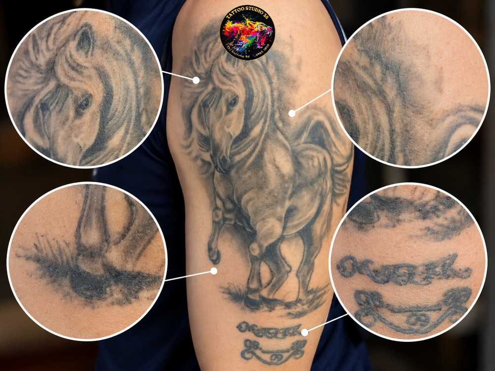 When Does A Tattoo Need A Touch-Up? Signs, Timing And Tips